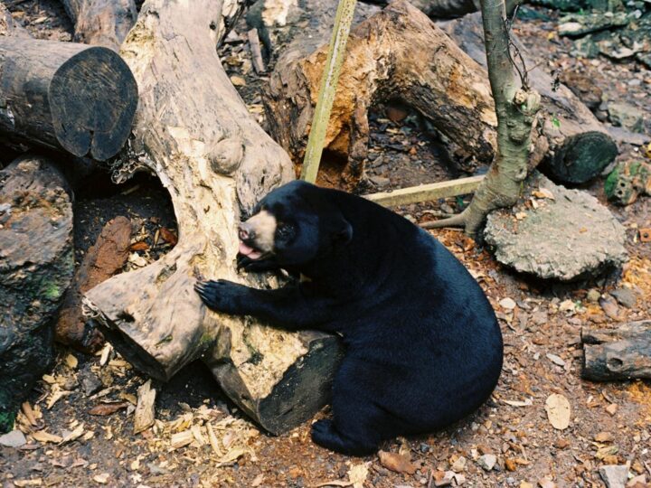 Duisburg Zoo